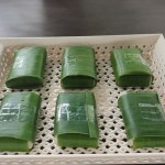 LEMPER - 21